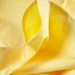 Classic Percale Fitted Sheet - Yellow